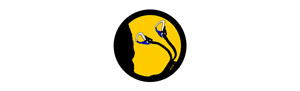 cvengi-logo
